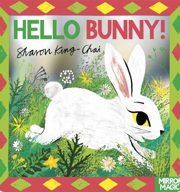 Hello Bunny! : An Easter search-and-find mirror book