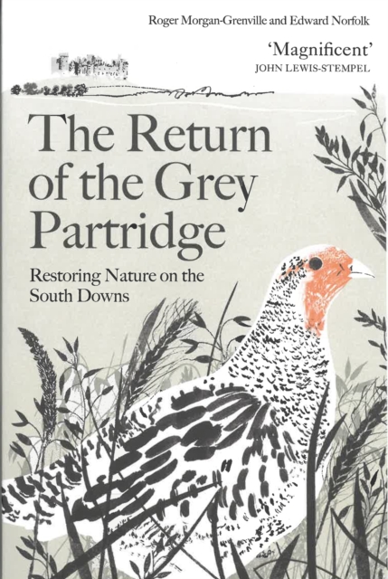 The Return of the Grey Partridge : Restoring Nature on the South Downs
