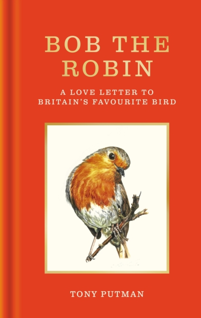 Bob the Robin : A love letter to Britain’s favourite bird